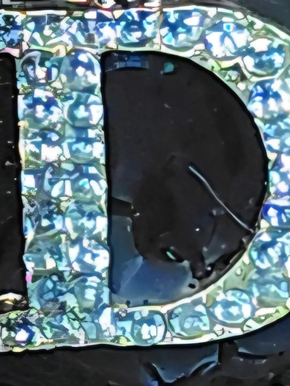 Rhinestone 'D' Accent Black Women's Clutch Wallet